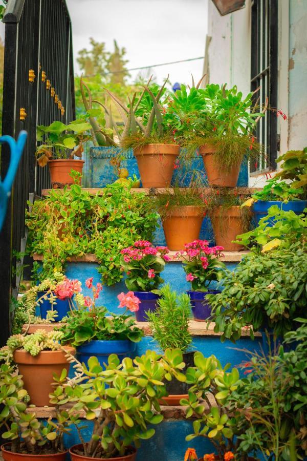 Bohemian Villa - Malaga Alora Exterior foto